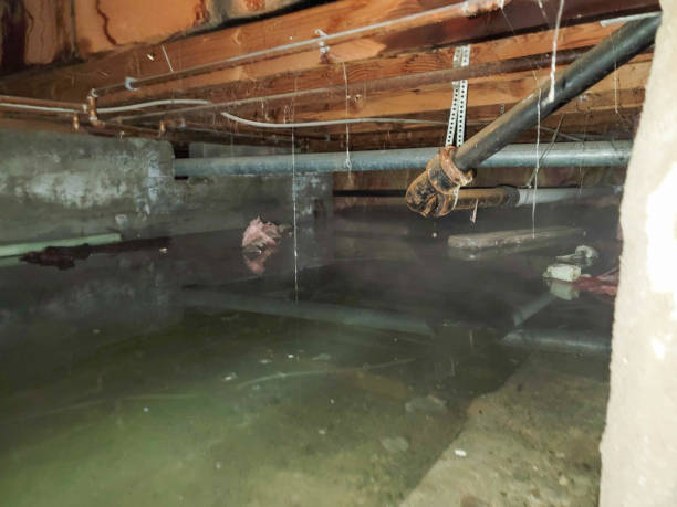 Best 24-hour water damage restoration  in Colby, WI
