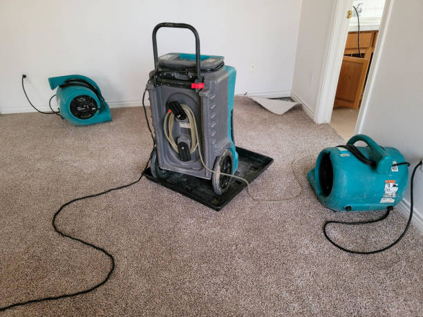 Best 24/7 water damage repair  in Colby, WI