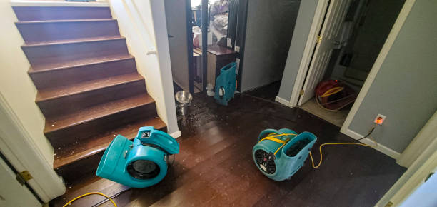 Best Commercial water damage restoration  in Colby, WI