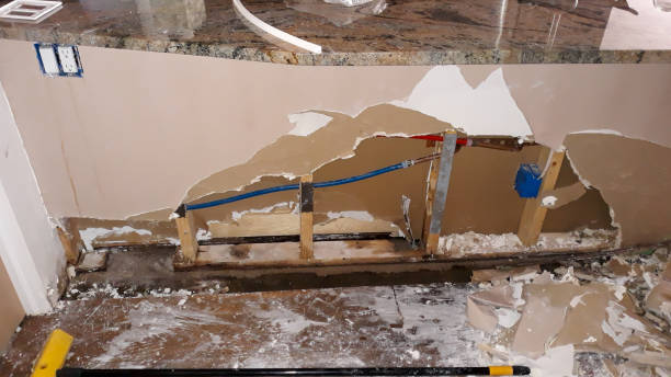 Best Local water damage restoration  in Colby, WI