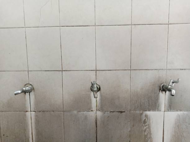 Best Water damage restoration near me  in Colby, WI