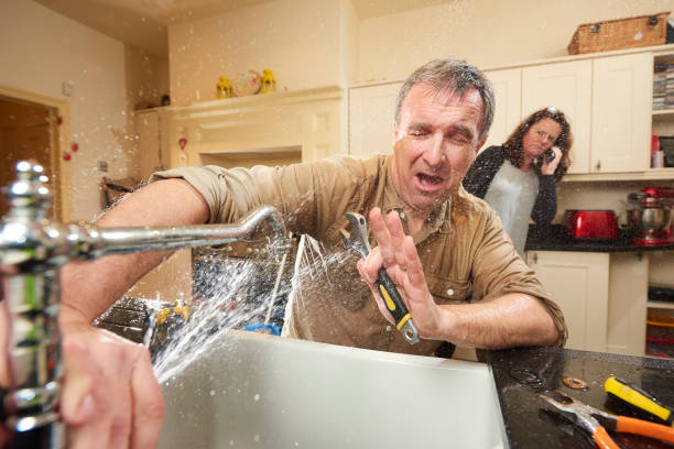 Best Flooded house restoration  in Colby, WI